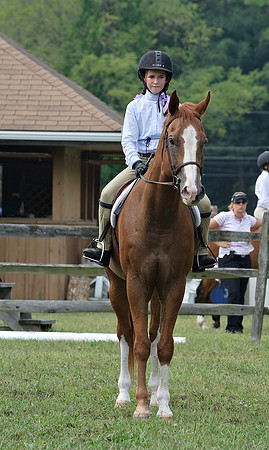 AD0_9776horse_show.jpg