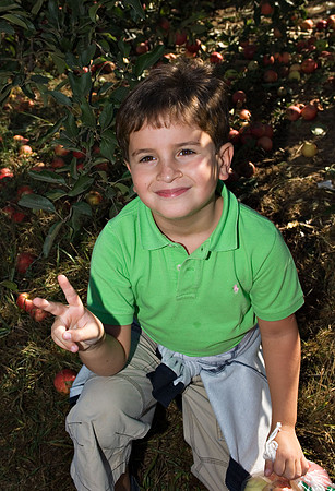 DSC_8274apple-picking.jpg
