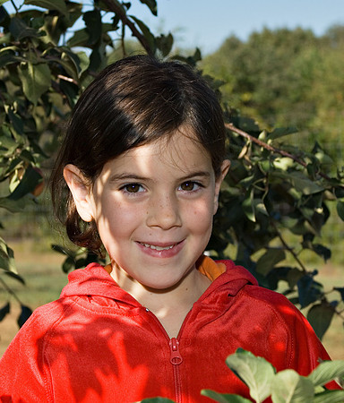 DSC_8259apple-picking.jpg
