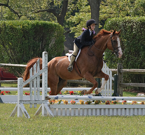 AD0_9943horse_show.jpg