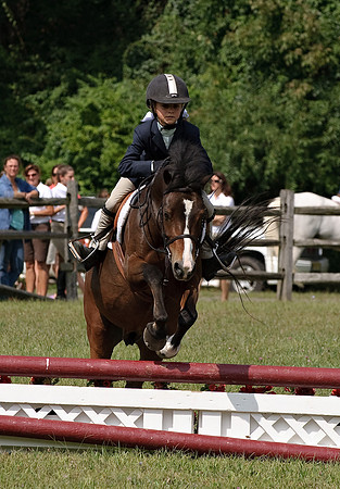 AD0_9970horse_show.jpg