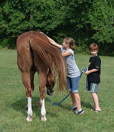 AD0_9641horse_show.jpg