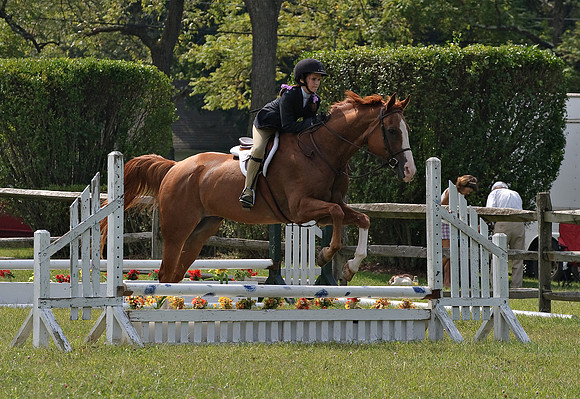 AD0_9944horse_show.jpg