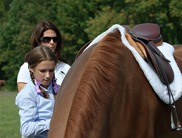 AD0_9644horse_show.jpg