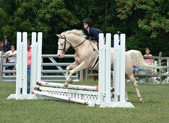 AD0_9809horse_show.jpg