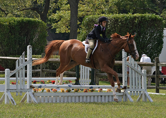 AD0_9945horse_show.jpg