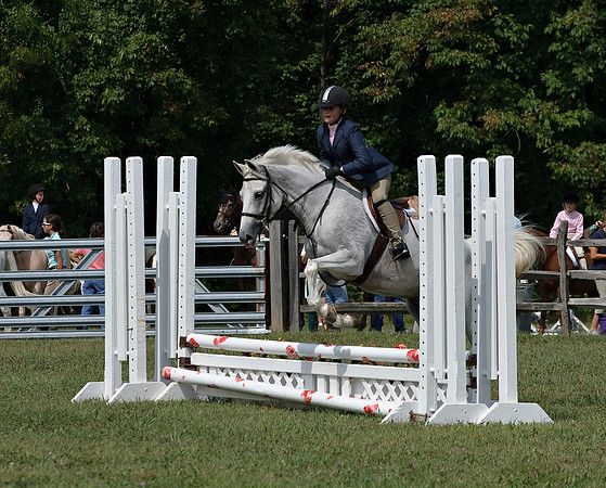 AD0_9990horse_show.jpg