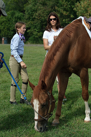 AD0_9646horse_show.jpg