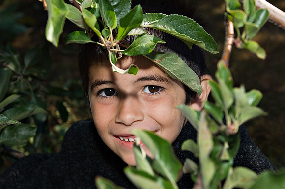DSC_8254apple-picking.jpg