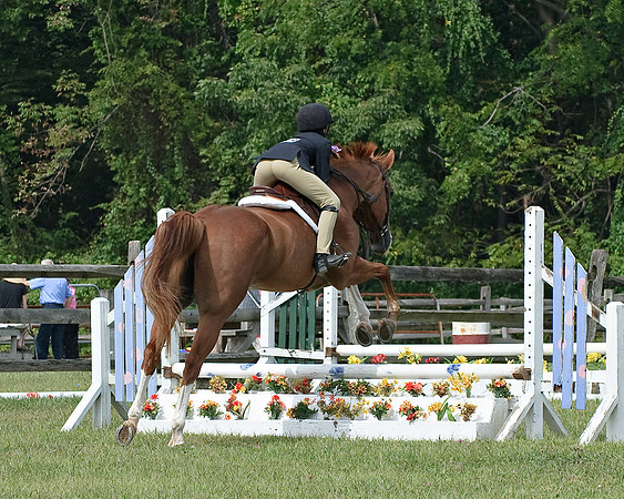 AD0_9825horse_show.jpg