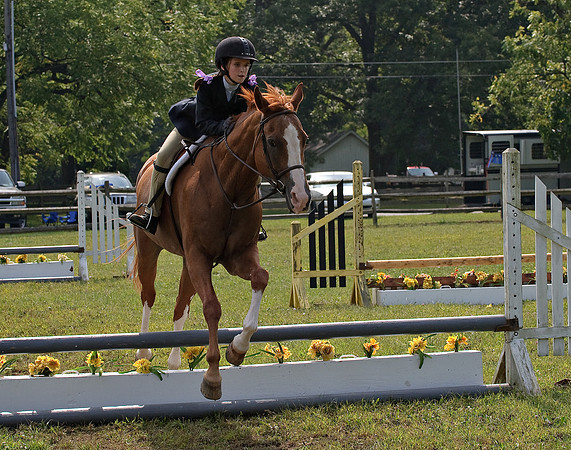 AD0_9946horse_show.jpg