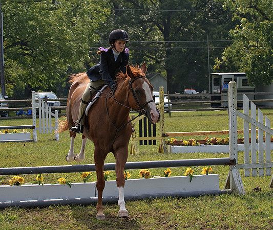 AD0_9947horse_show.jpg