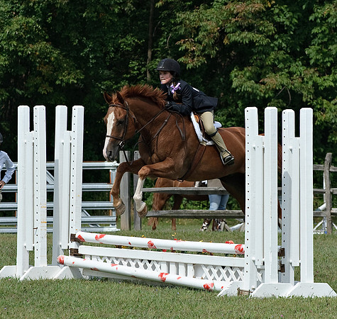 AD0_9875horse_show.jpg