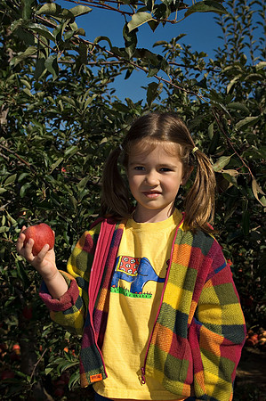 DSC_8256apple-picking.jpg