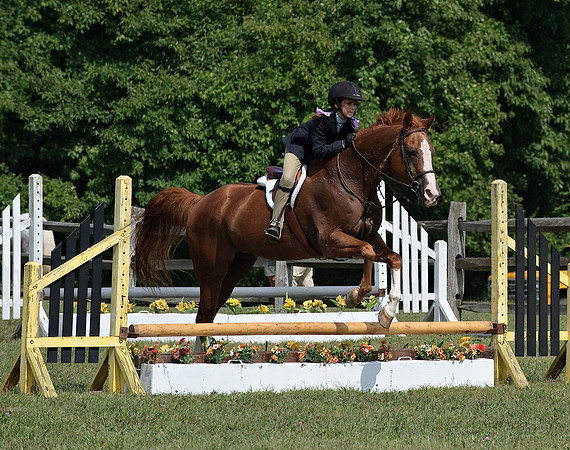 AD0_0015horse_show.jpg