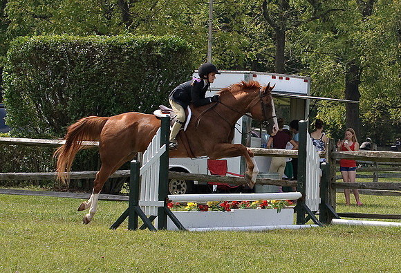 AD0_9951horse_show.jpg