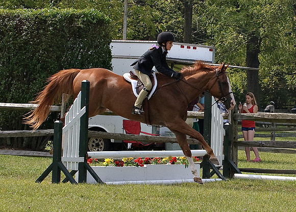 AD0_9952horse_show.jpg