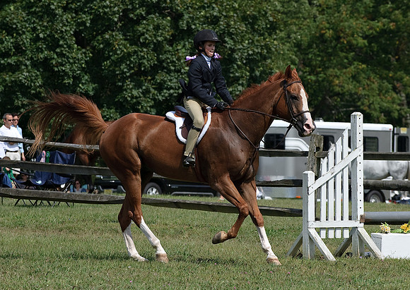 AD0_0019horse_show.jpg