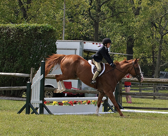 AD0_9953horse_show.jpg