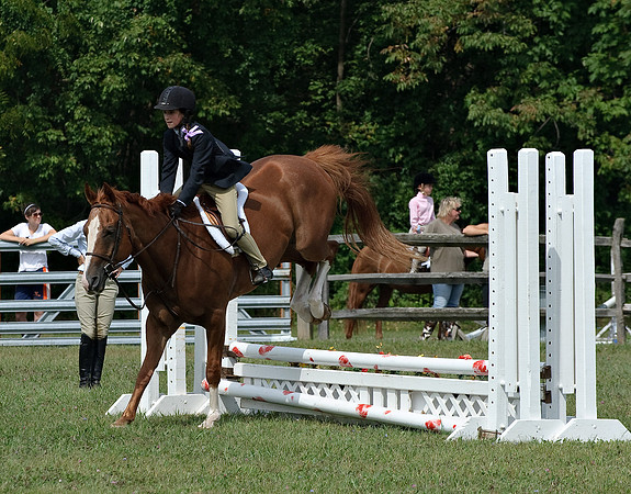 AD0_9877horse_show.jpg