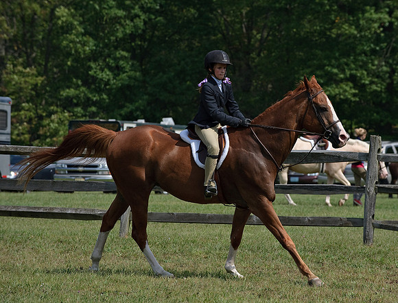 AD0_0020horse_show.jpg