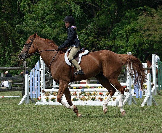 AD0_9883horse_show.jpg