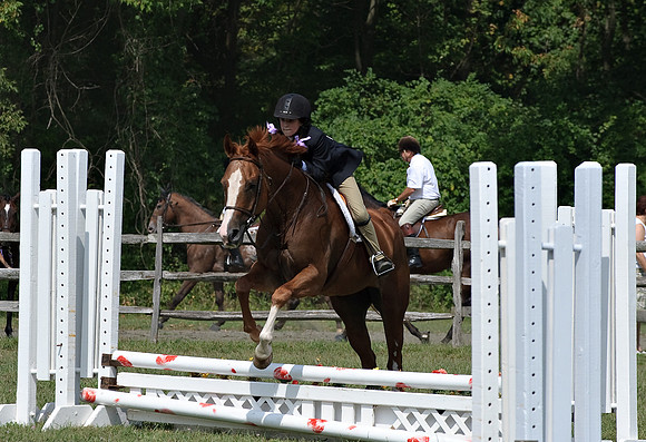 AD0_0021horse_show.jpg