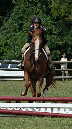 AD0_9904horse_show.jpg