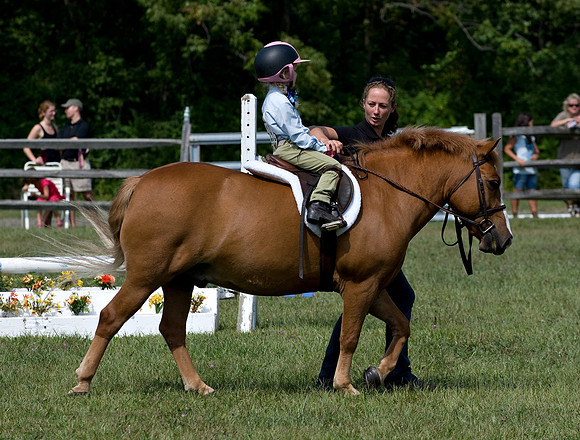 AD0_0048horse_show.jpg