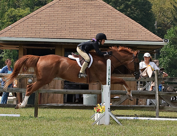 AD0_9956horse_show.jpg