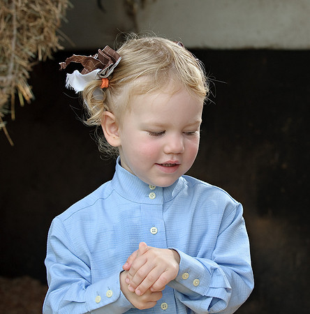 AD0_9657horse_show.jpg