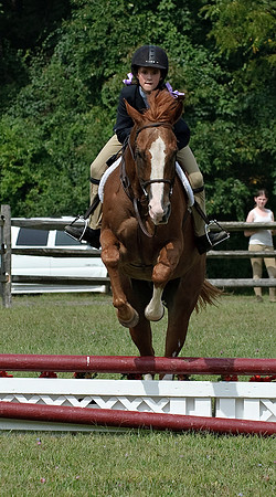 AD0_9905horse_show.jpg