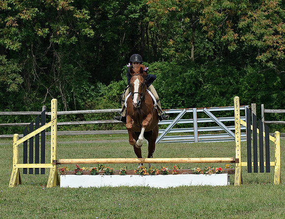 AD0_9910horse_show.jpg