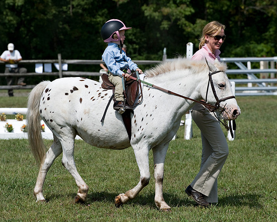 AD0_0051horse_show.jpg