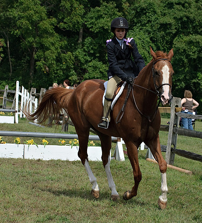 AD0_9917horse_show.jpg
