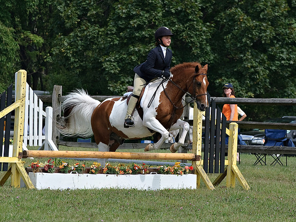 AD0_9929horse_show.jpg