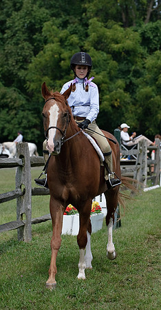 AD0_9692horse_show.jpg