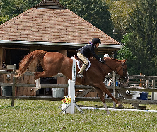 AD0_9957horse_show.jpg
