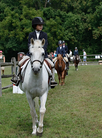 AD0_9696horse_show.jpg