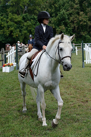 AD0_9697horse_show.jpg