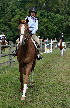 AD0_9714horse_show.jpg
