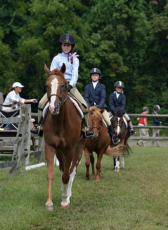 AD0_9719horse_show.jpg