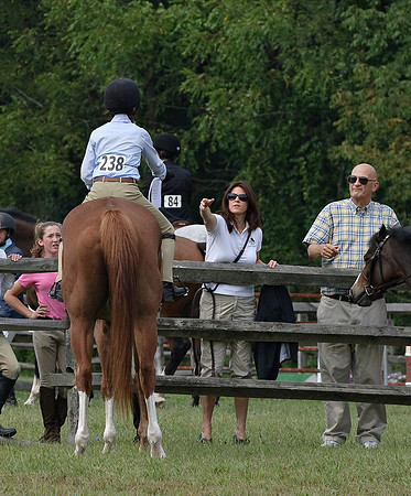 AD0_9747horse_show.jpg