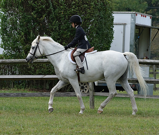 AD0_9751horse_show.jpg