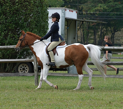 AD0_9755horse_show.jpg