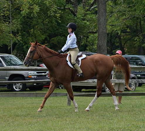 AD0_9758horse_show.jpg