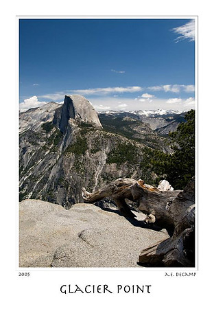 DSC_2282yosemite.jpg