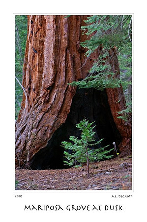 DSC_2019yosemite.jpg