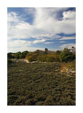 DSC_9918Island_Beach_SP.jpg