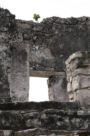 tulum ruins